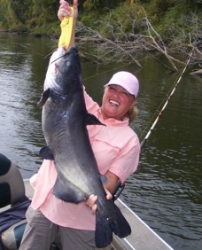 Arkansas Catfish